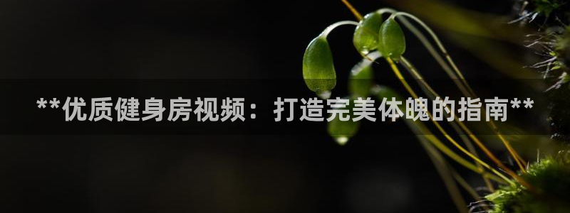 意昂2娱乐