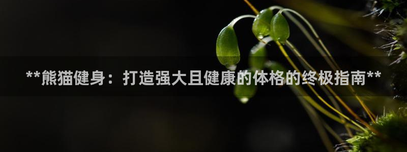意昂2平台