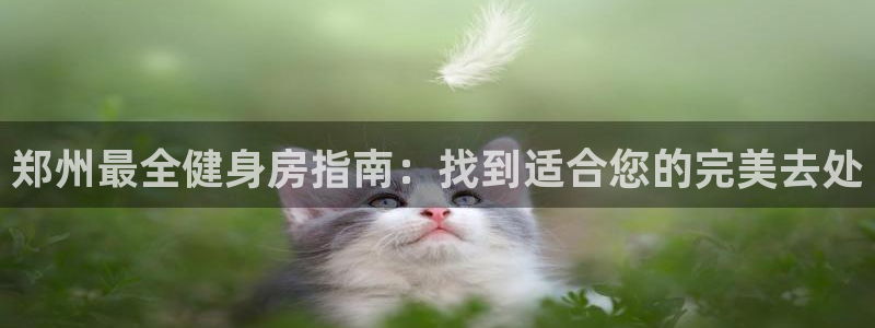 意昂2招商