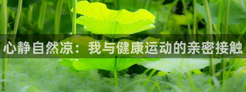 意昂2娱乐